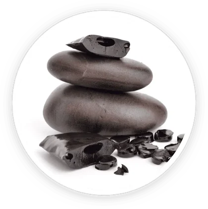 Shilajit resin